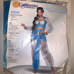 Jasmin Costume